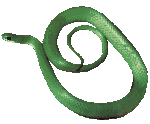 greensnake.gif (4008 bytes)